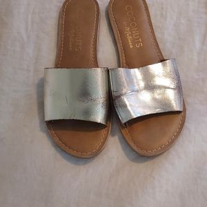 Gold Slides